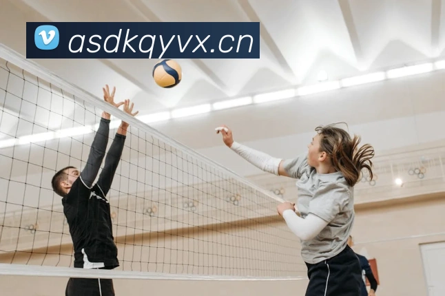 九游j9官网网页版入口平台生态图