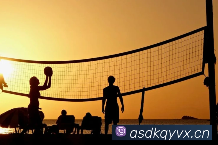 九游j9官网网页版入口APP 封面图